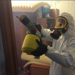 Уничтожение клопов в квартире. Дунайская